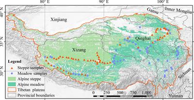 Divergent coupling mechanism of precipitation on plant community multifunction across alpine grassland on the Tibetan Plateau